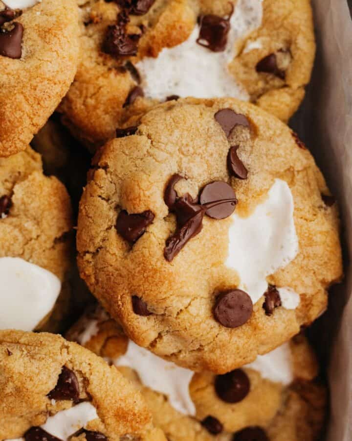 A close up of marshmallow chocolate chip cookies.