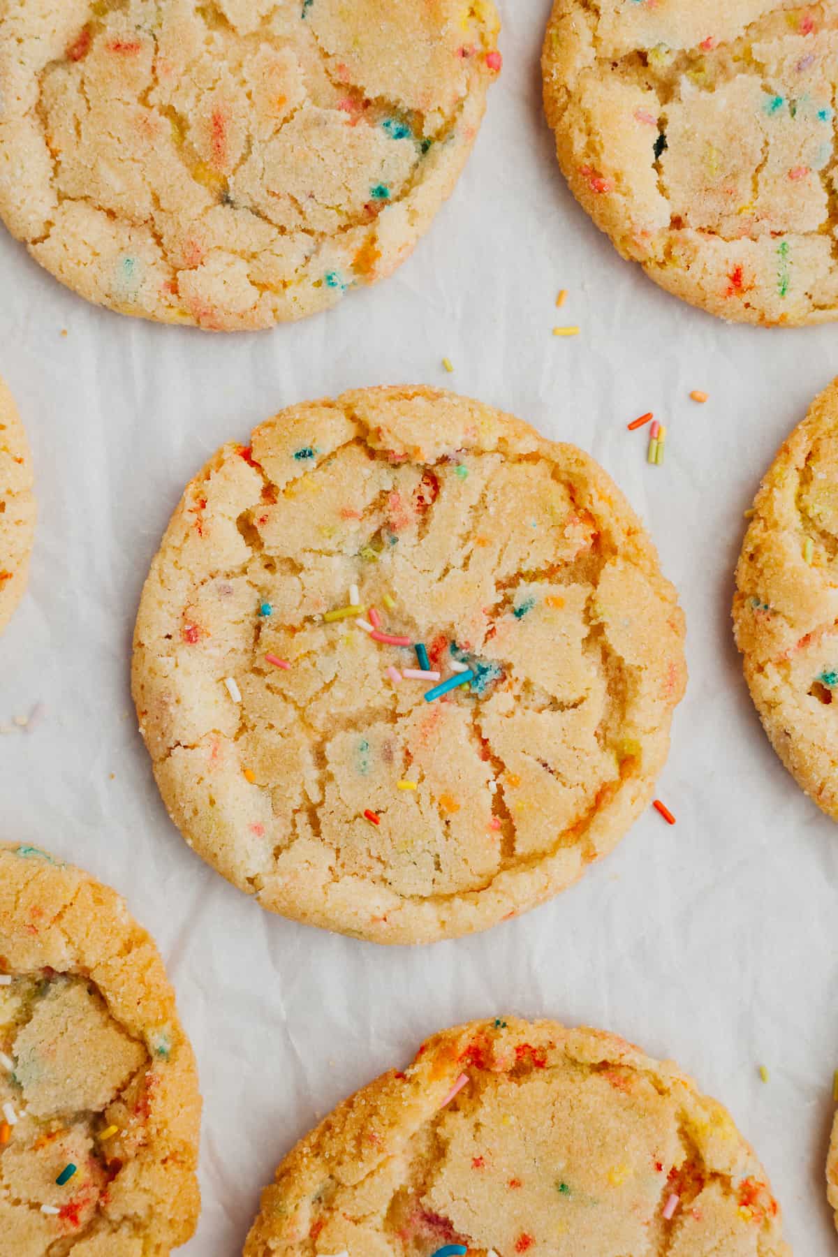 A close up of a sprinkle sugar cookie on parchment paper.