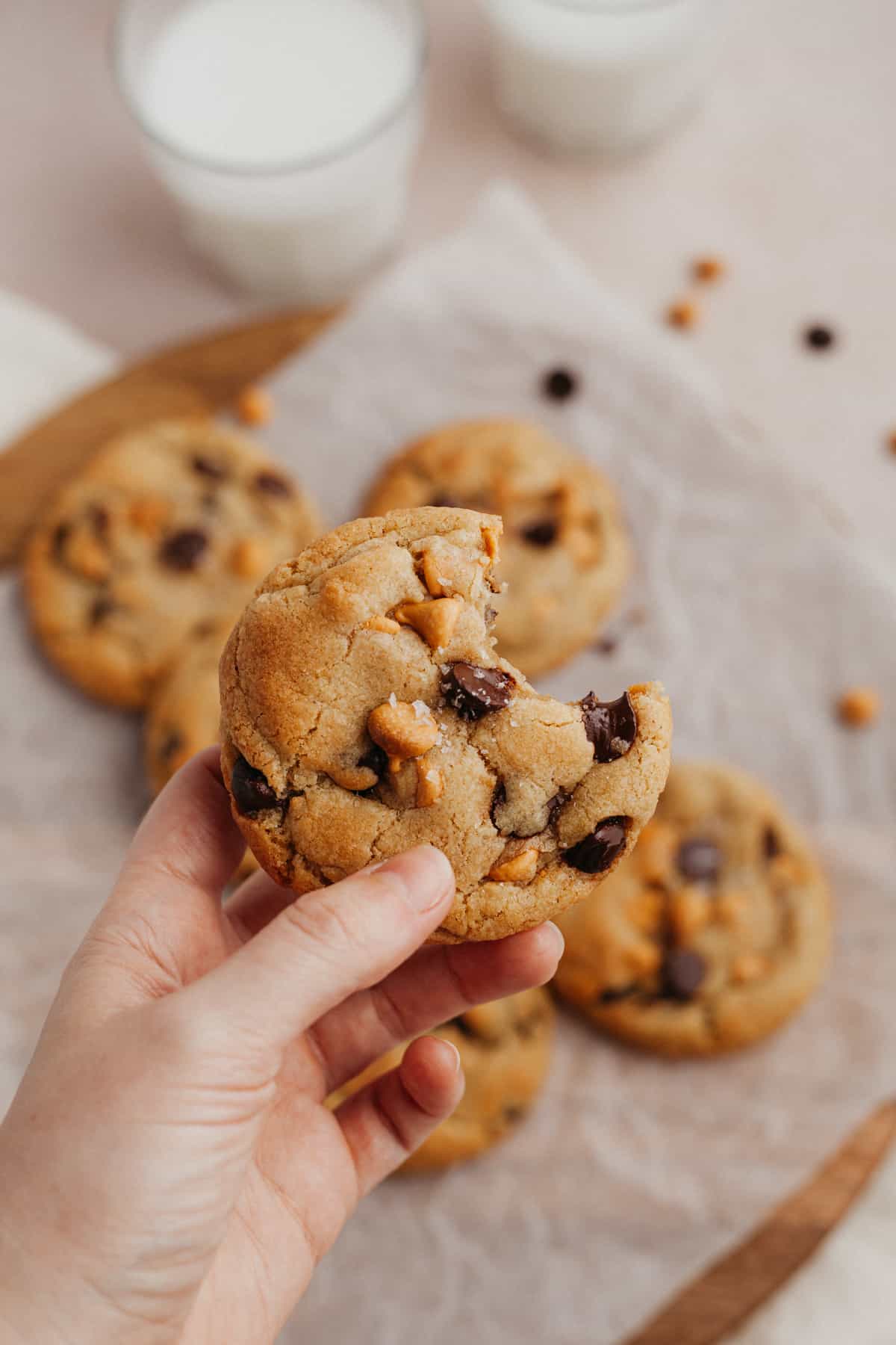 A white hand holding a chocolate chip butterscotch cookie, a bite has been taken out of it
