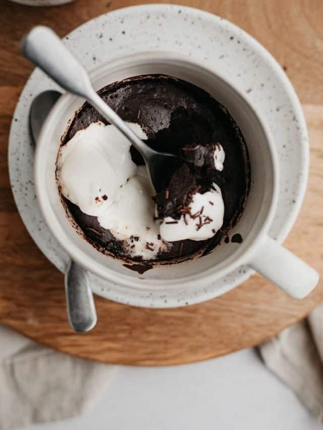 Hot Cocoa Mug Cake
