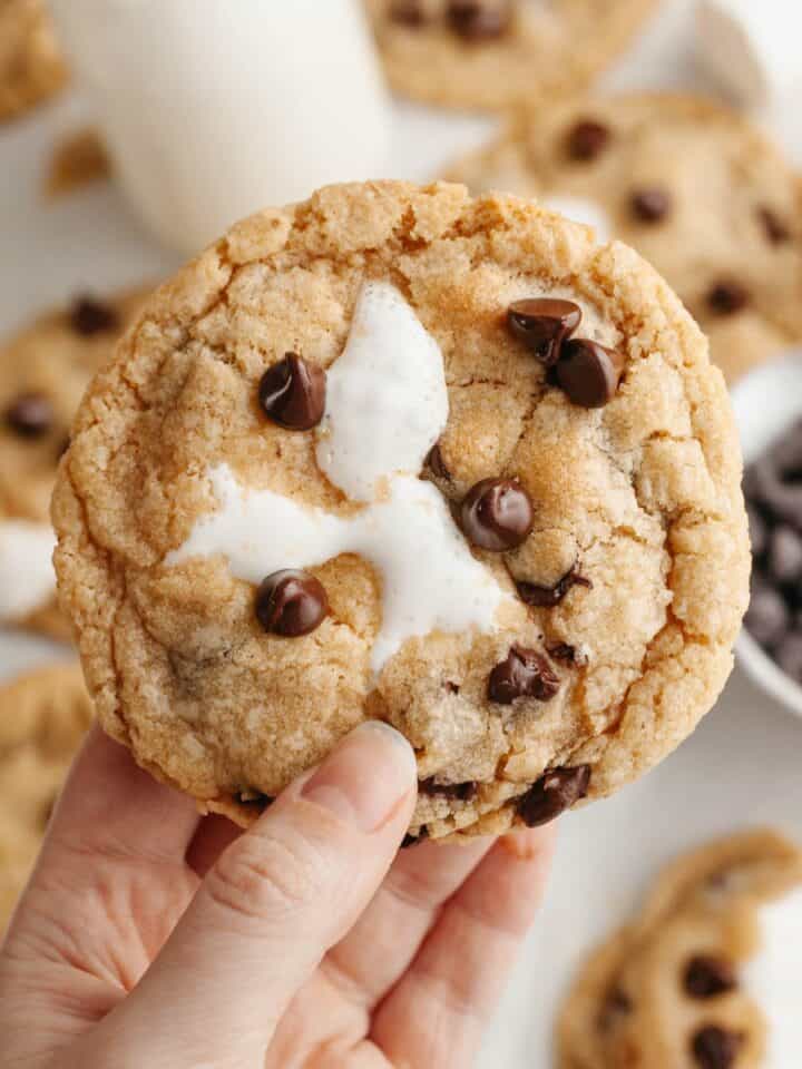 A hand holding a marshmallow chocolate chip cookie.