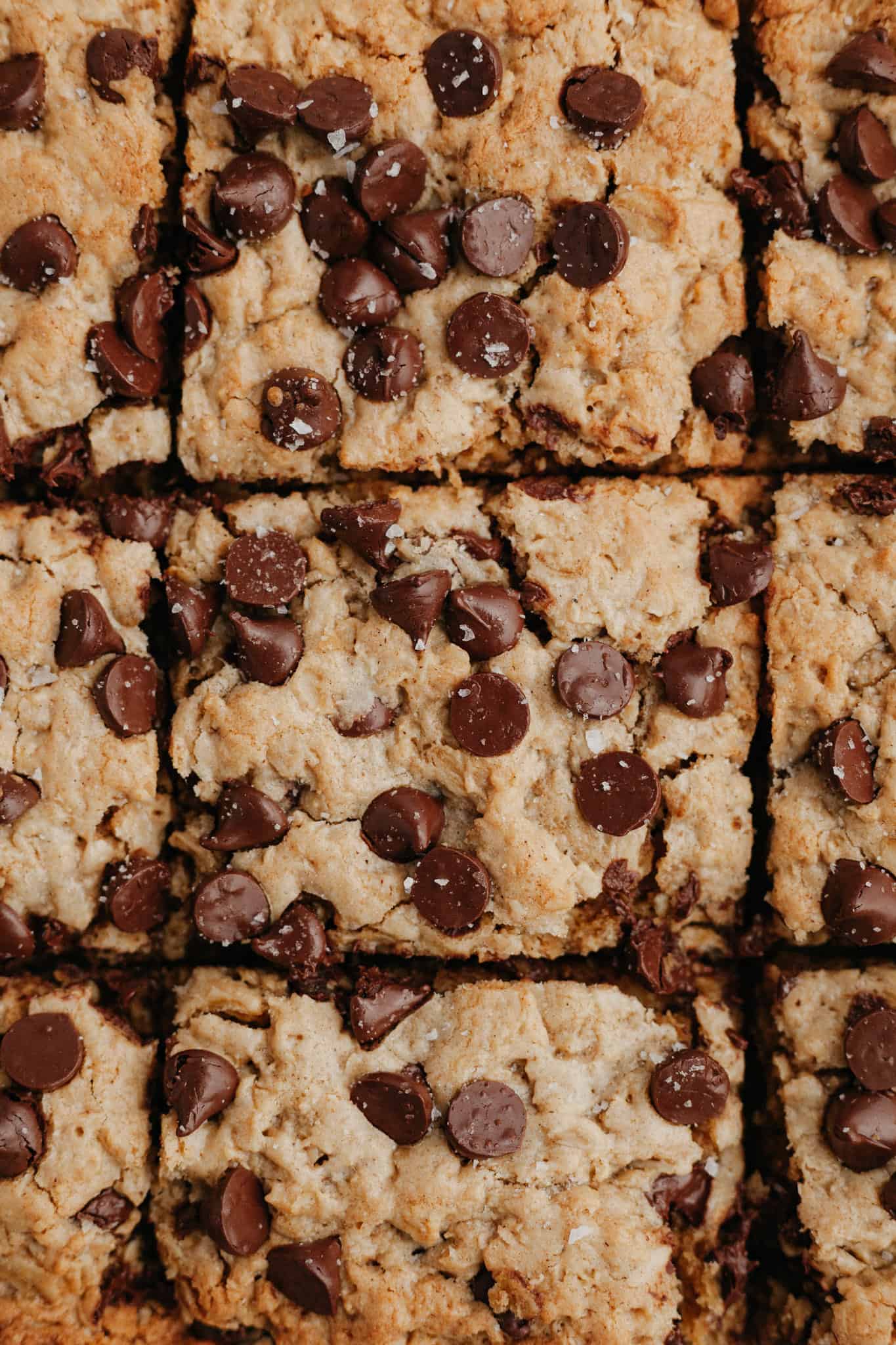 A close up of cut chocolate chip oatmeal blondies.
