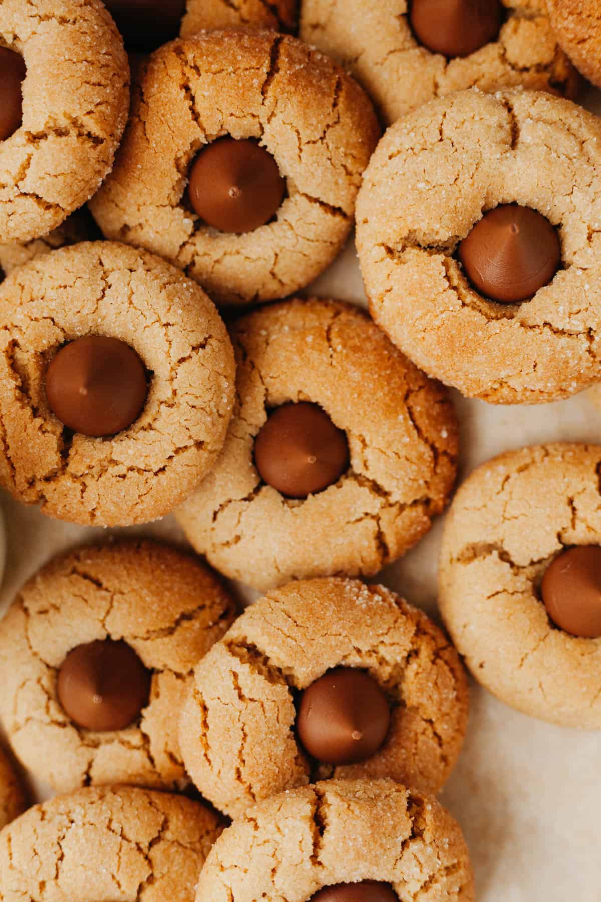 A close up of about 10 peanut butter blossom cookies.