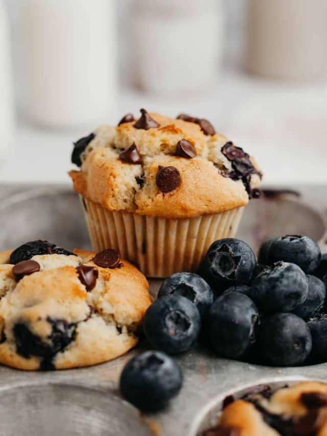 A silver muffin tin, one cavity is filled with blueberries and then there are two blueberry chocolate muffins.