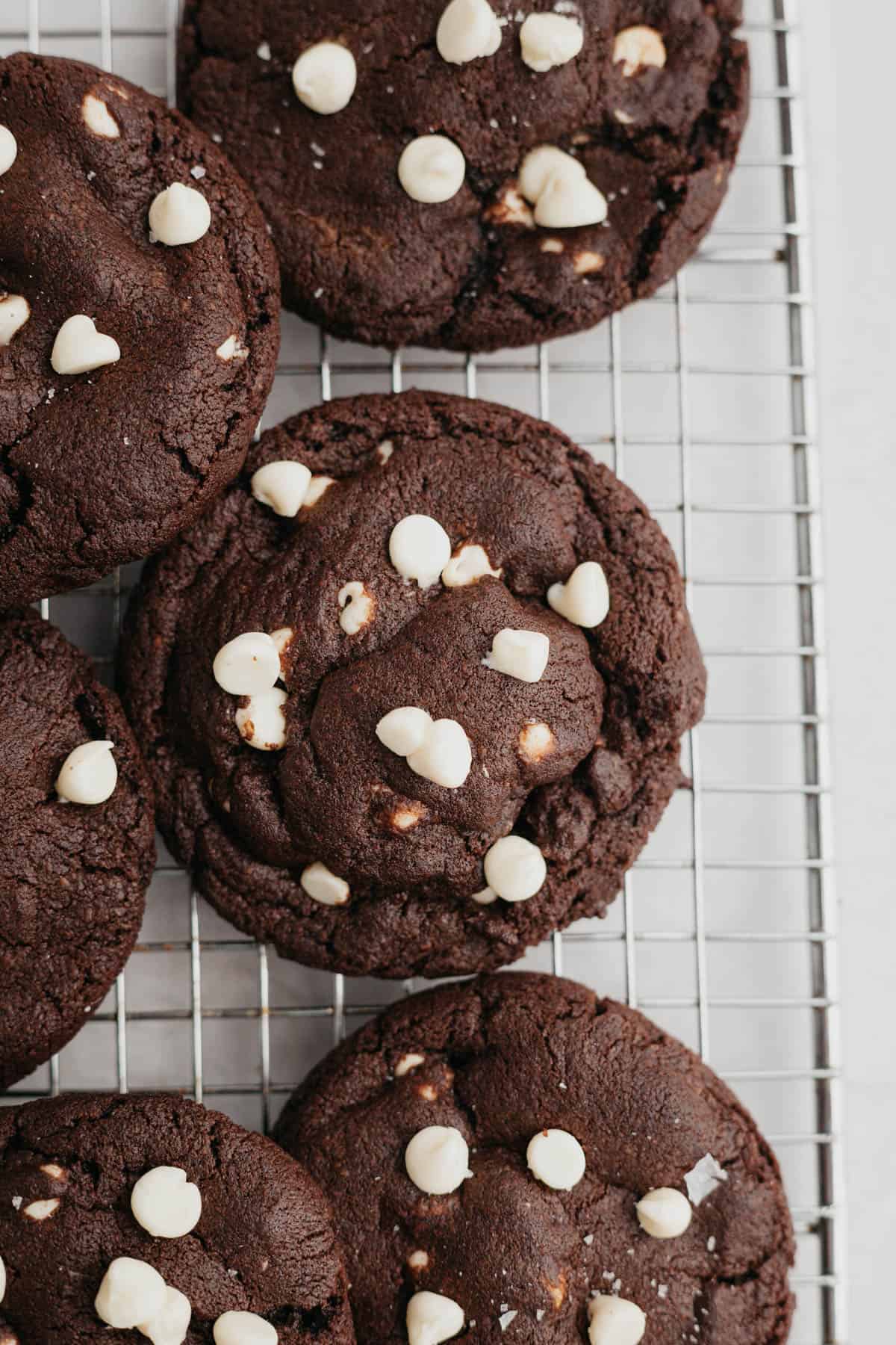 Chocolate cookies with white chocolate chips on a silver cooling rack.