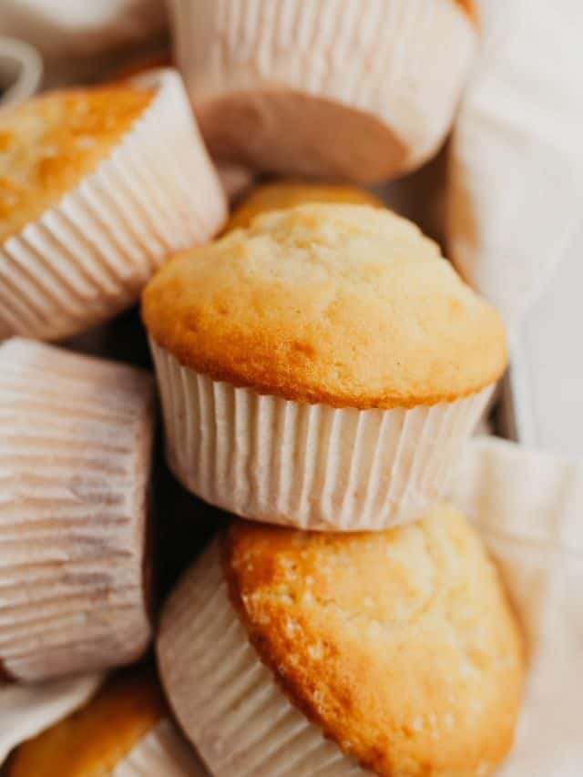 Vanilla Muffins
