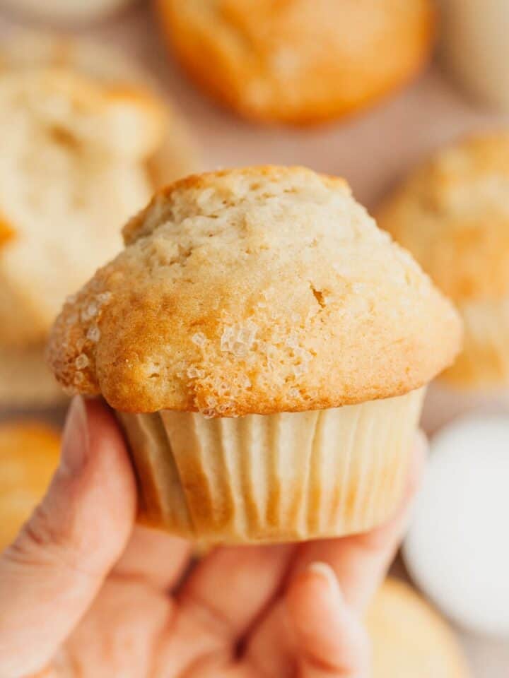 A hand holding a vanilla muffin.