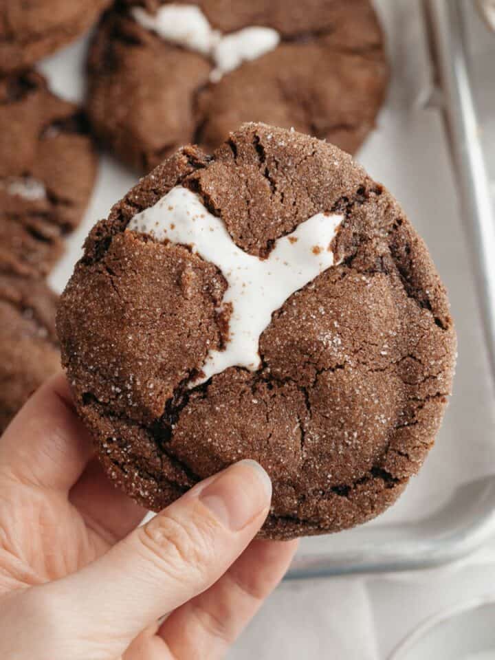 A hand holding a chocolate marshmallow cookie.