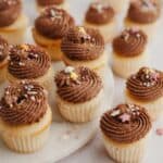 Rows of mini cupcakes with chocolate frosting and sprinkles.