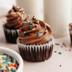 Two chocolate cupcakes with chocolate frosting and rainbow sprinkles.