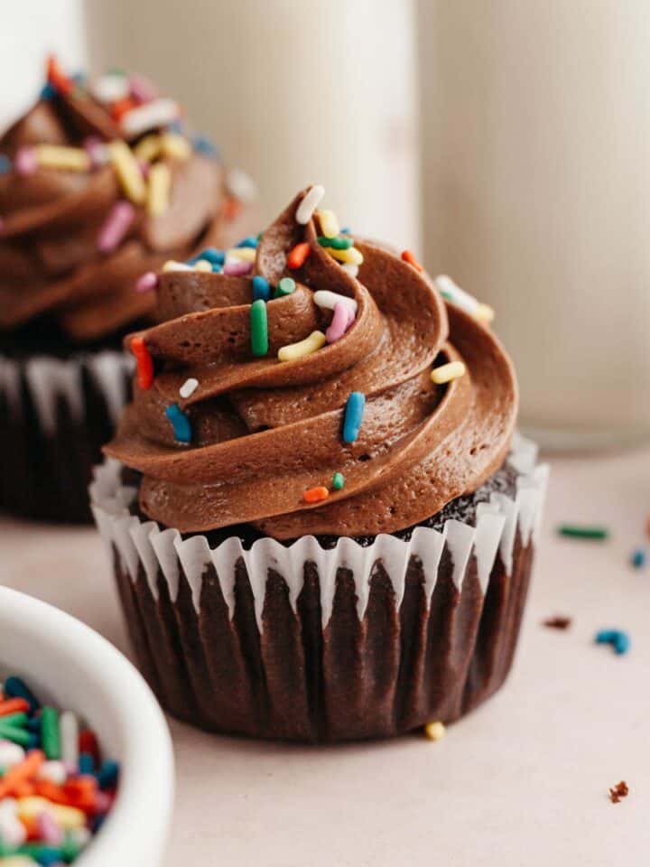 Two chocolate cupcakes with chocolate frosting and rainbow sprinkles.
