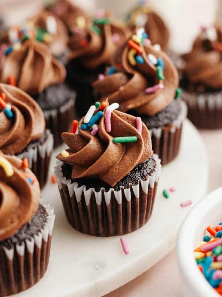 Mini chocolate cupcakes topped with chocolate frosting and rainbow sprinkles.