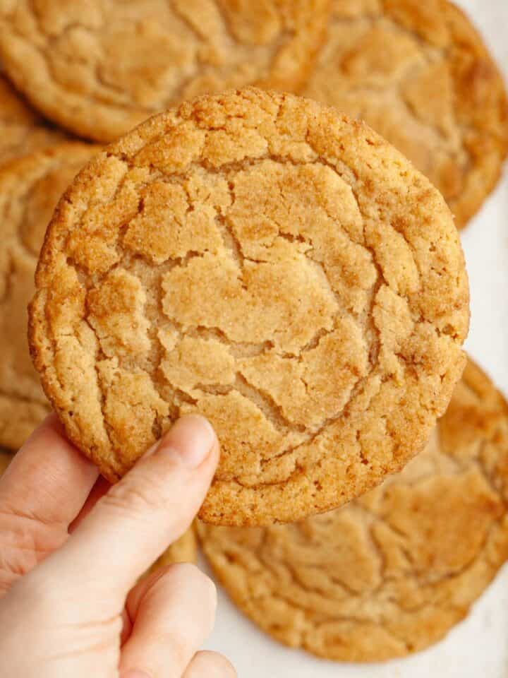 A hand holding a peanut butter snickerdoodle cookie.
