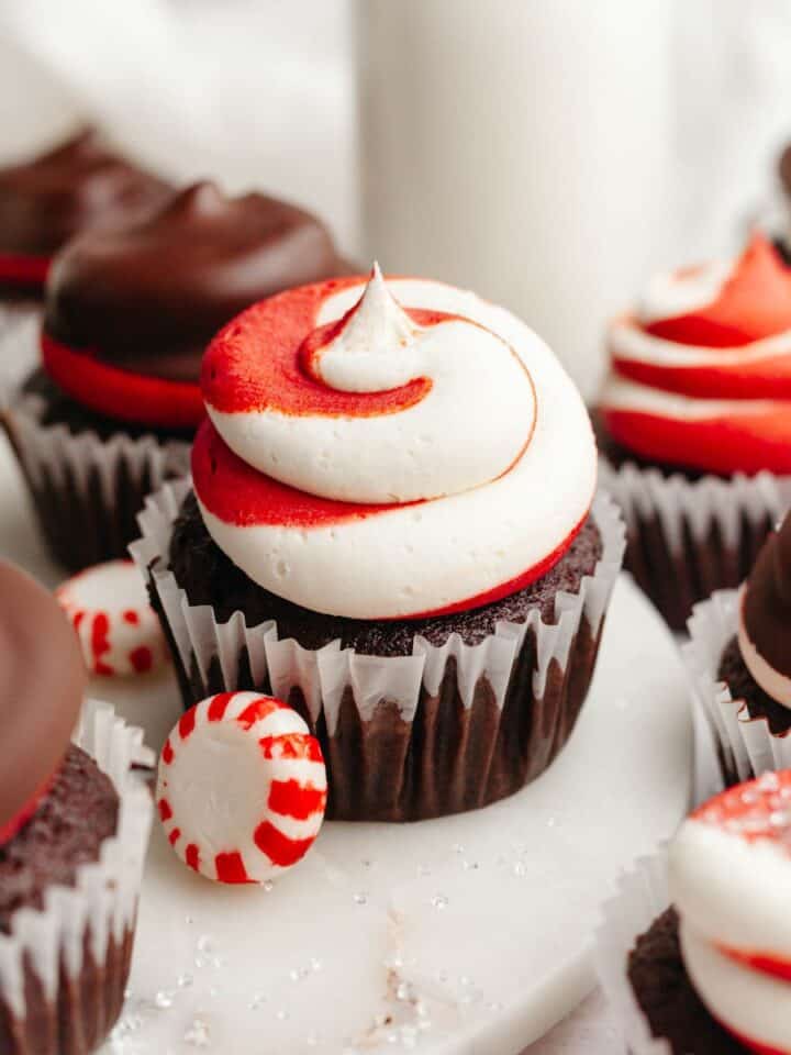 Chocolate peppermint cupcakes with red and white swirled frosting.