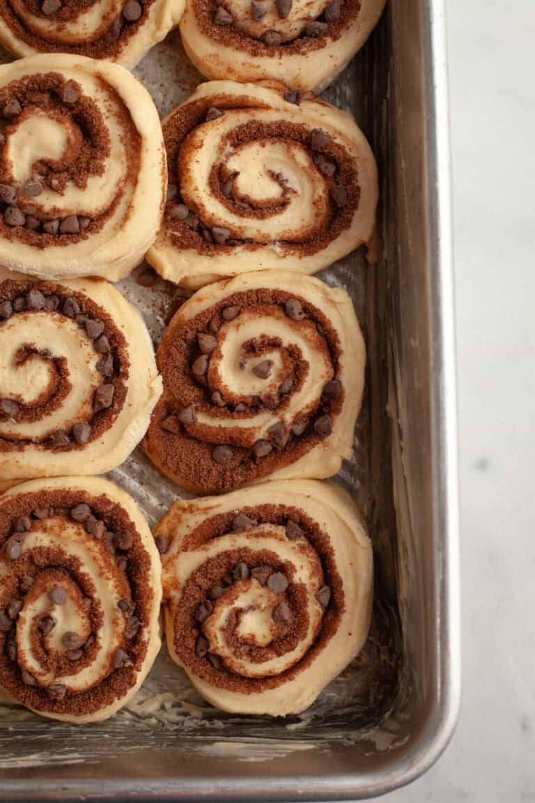 Chocolate Cinnamon Rolls with Chocolate Cream Cheese Icing - Alpine Ella