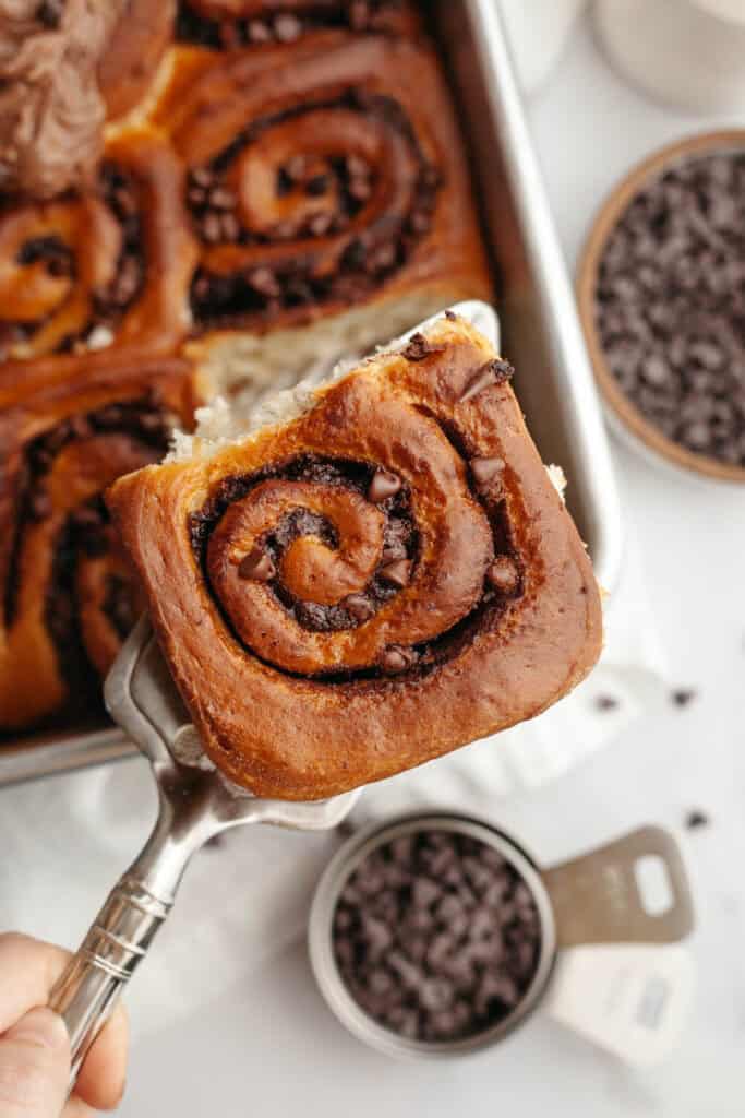 Chocolate Cinnamon Rolls with Chocolate Cream Cheese Icing - Alpine Ella