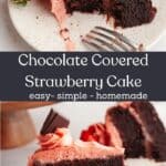 A chocolate cake covered in strawberry frosting with chocolate filling on a plate.