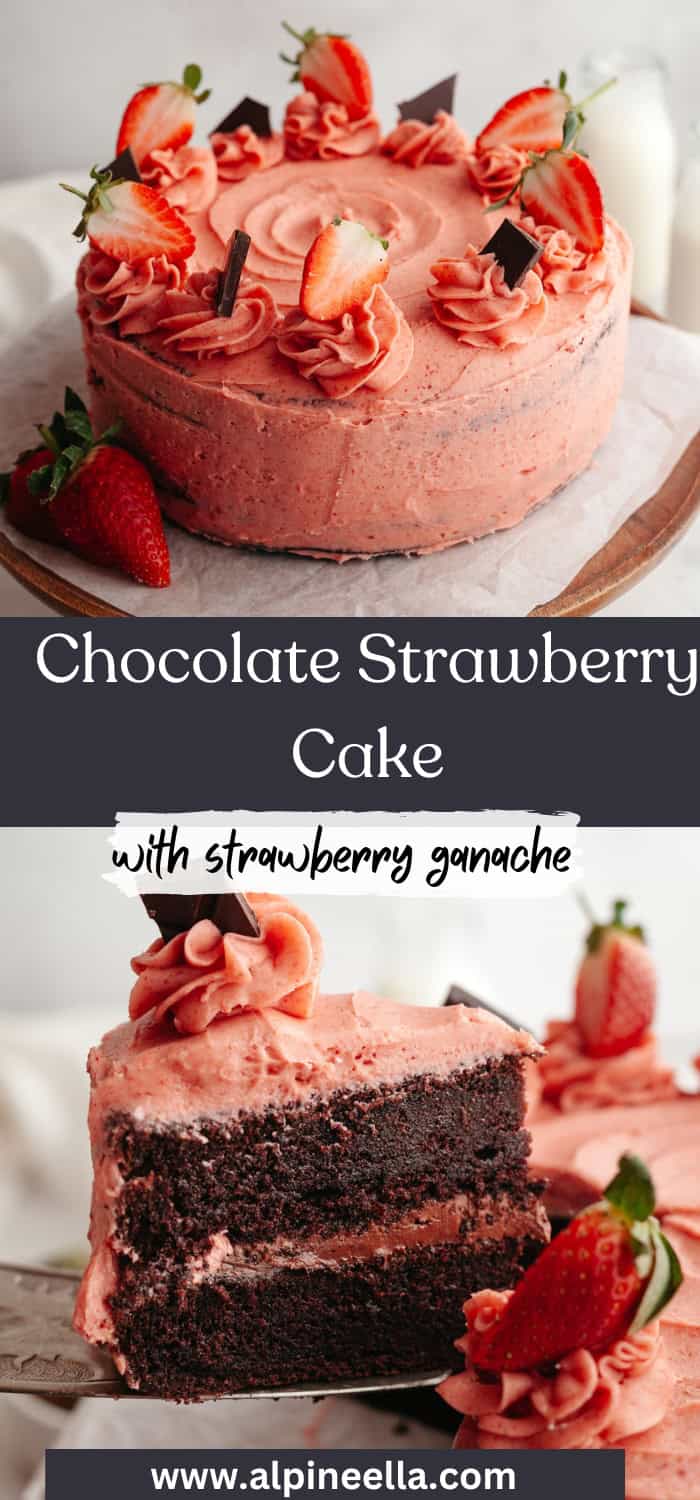 Chocolate Covered Strawberry Cake with Strawberry Ganache - Alpine Ella