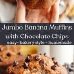 A hand holding a jumbo chocolate chip banana muffins, and a close up of a muffin with a bite taken out of it.