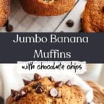 Close up of jumbo chocolate chip banana muffins, one has a bite taken out of it.