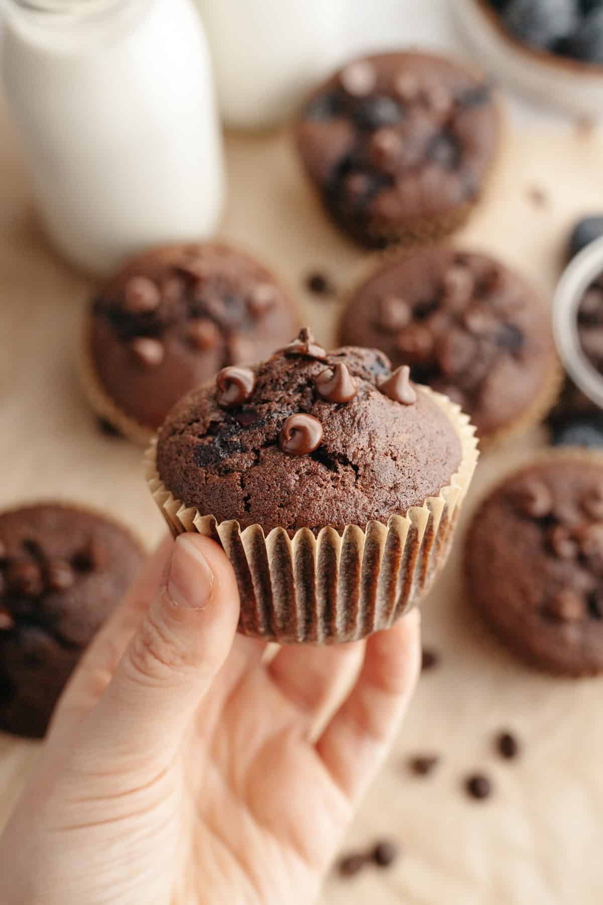 A hand holding a blueberry chocolate muffin.