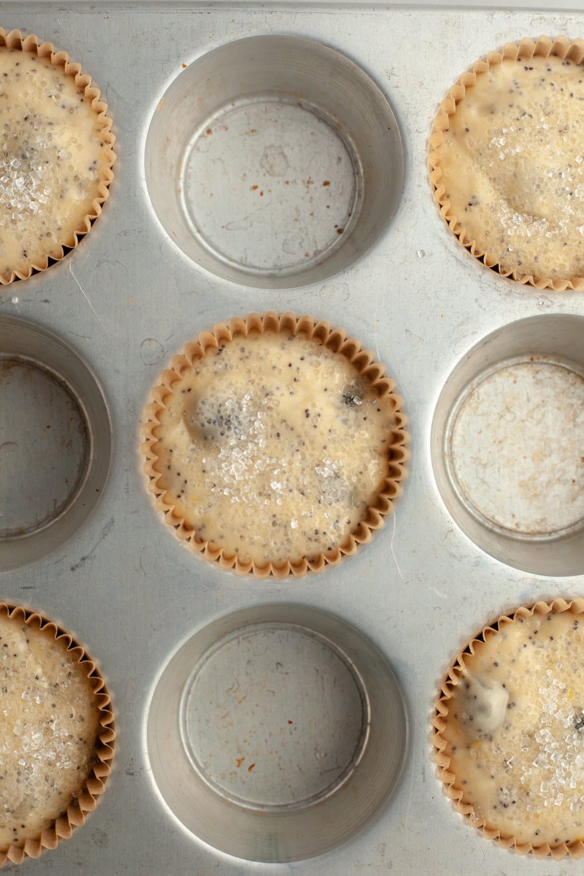 Unbaked lemon blueberry poppy seed muffins in a muffin pan.