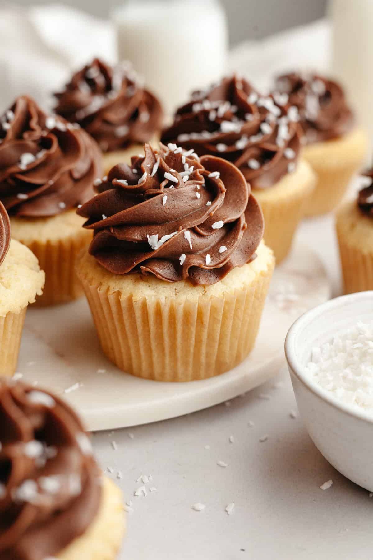 Coconut cupcakes with chocolate frosting, sprinkled with shredded coconut.
