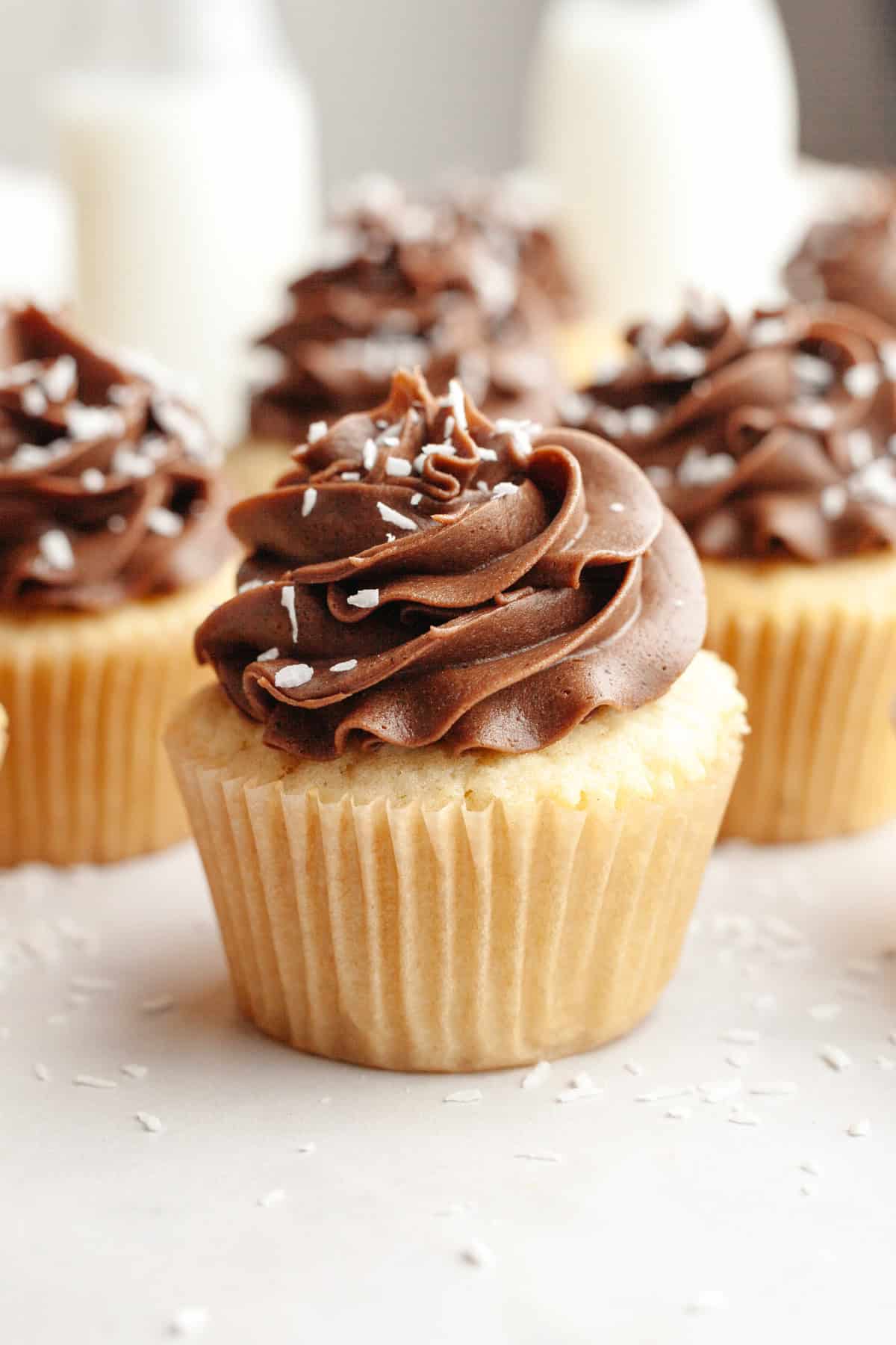 Coconut cupcakes with chocolate frosting, sprinkled with shredded coconut.