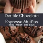 A hand holding a chocolate muffin and a close up of a chocolate muffin with a bite taken out of it.