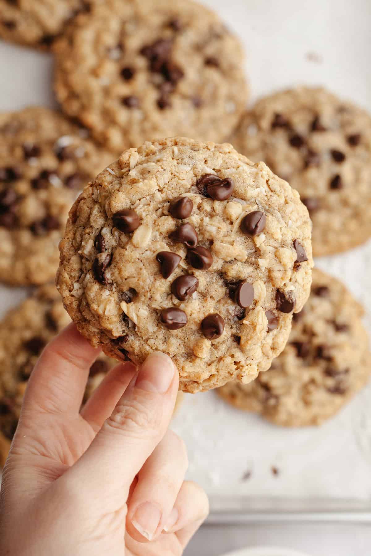 A hand holding a coconut chocolate chip oatmeal cookie.