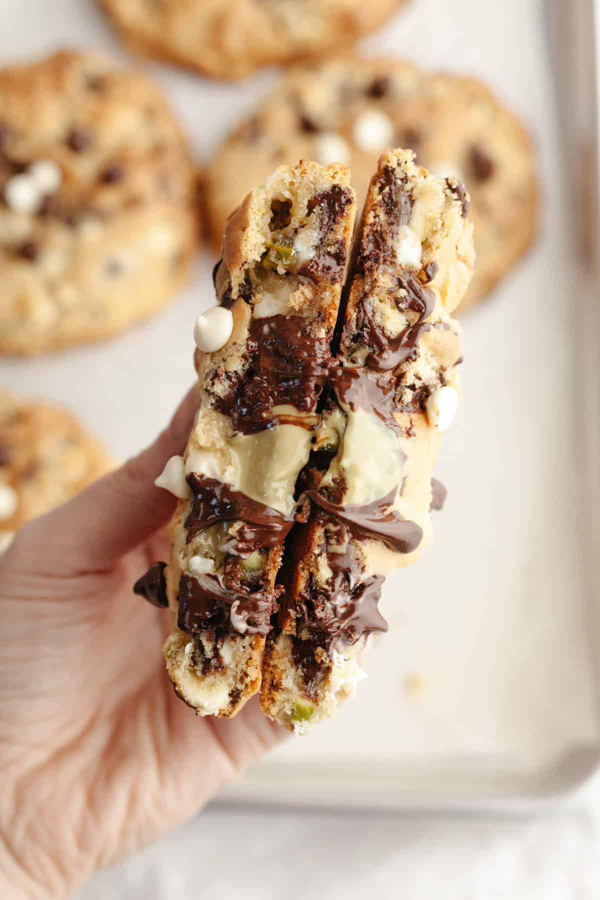 A hand holding a chocolate chip pistachio filled cookie broken in half.