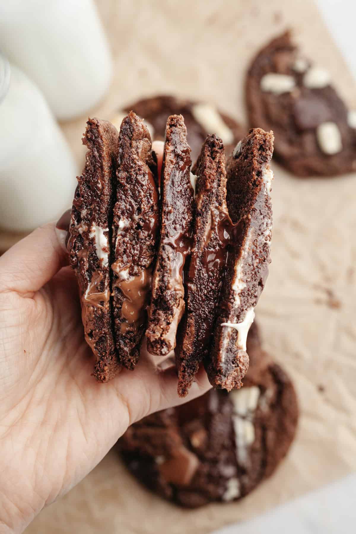 A hand holding 5 chocolate chunk cookie halves.