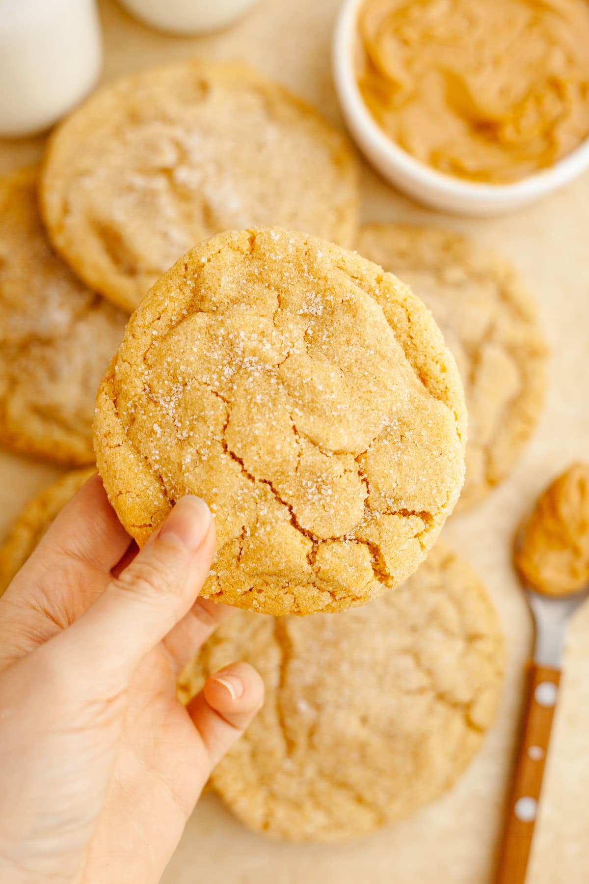 A hand holding a peanut butter cookie covered in sparkling sugar.
