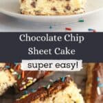 Close ups of slices of chocolate chip sheet cake, covered in chocolate frosting and rainbow sprinkles.