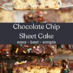 Close ups of slices of chocolate chip sheet cake, covered in chocolate frosting and rainbow sprinkles.