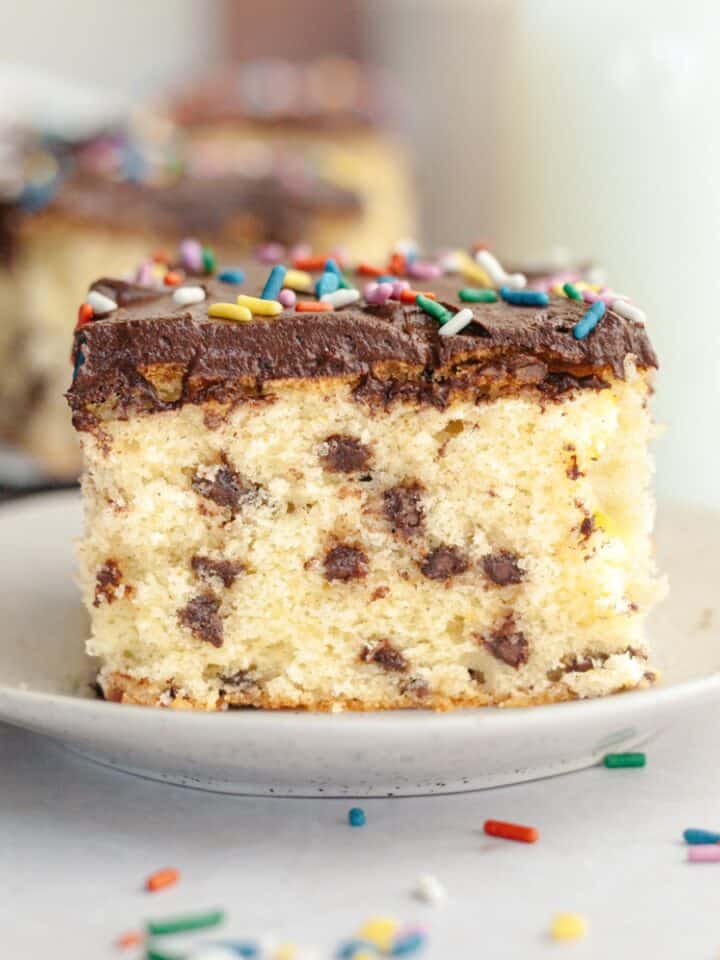 A slice of chocolate chip sheet cake with chocolate frosting on a small plate.
