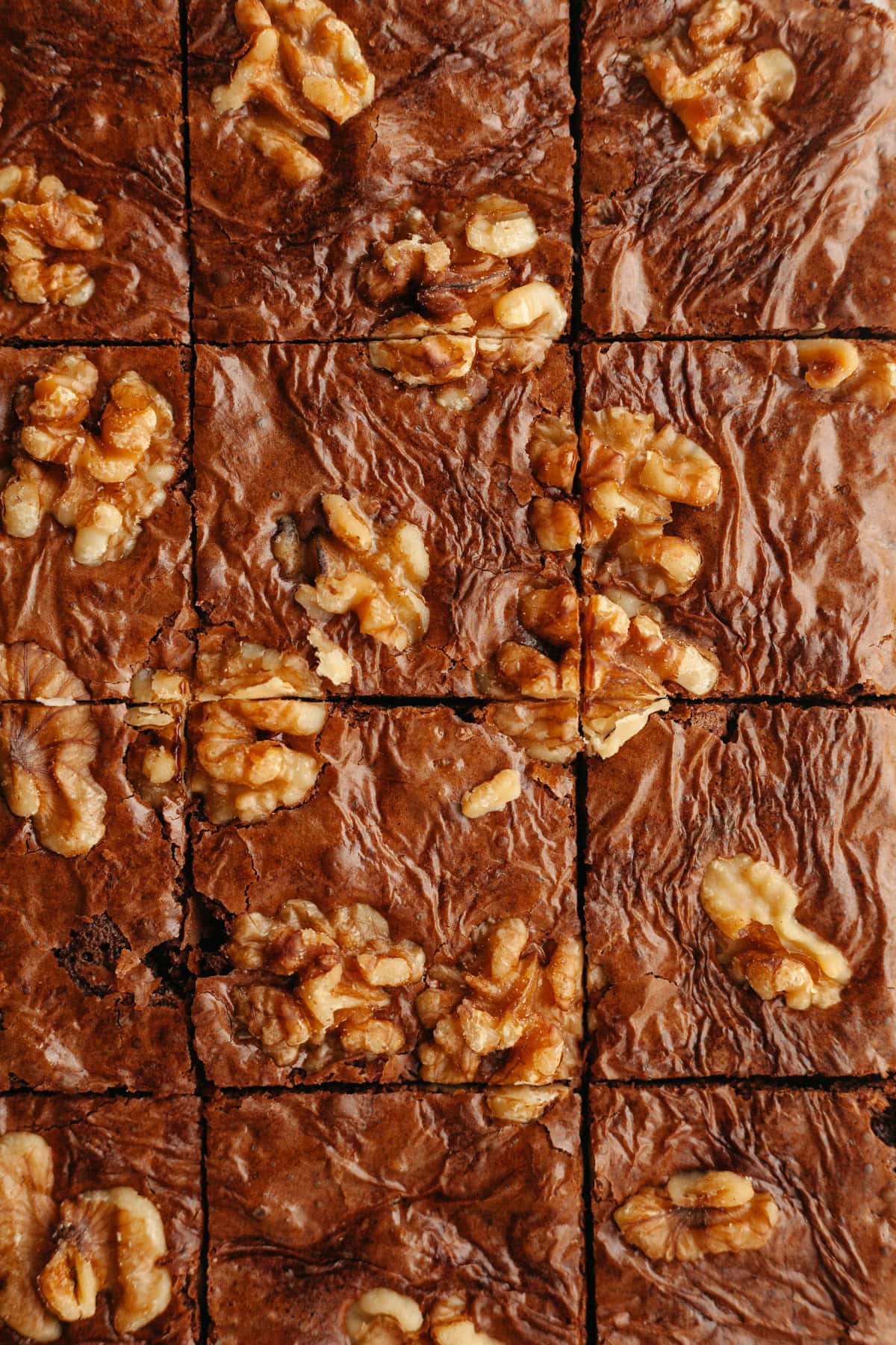 An overhead shot of sliced walnut brownies.