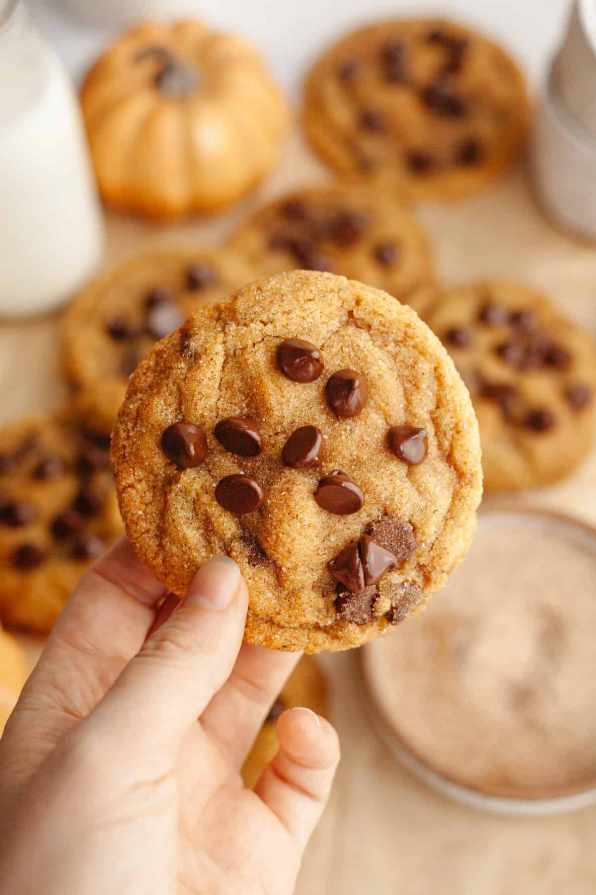 A hand holding a pumpkin chocolate chip cookie.