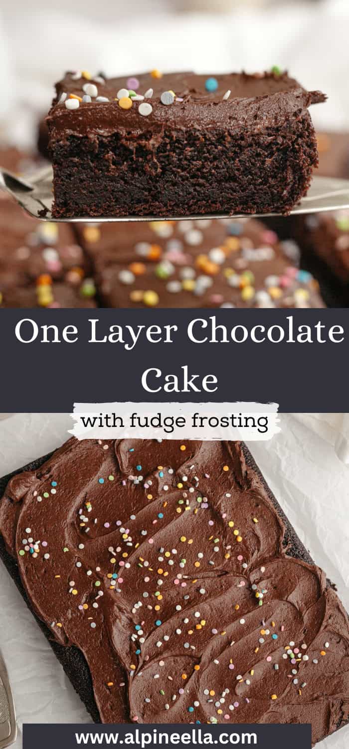 One Layer Chocolate Cake (Sheet Cake) - Alpine Ella