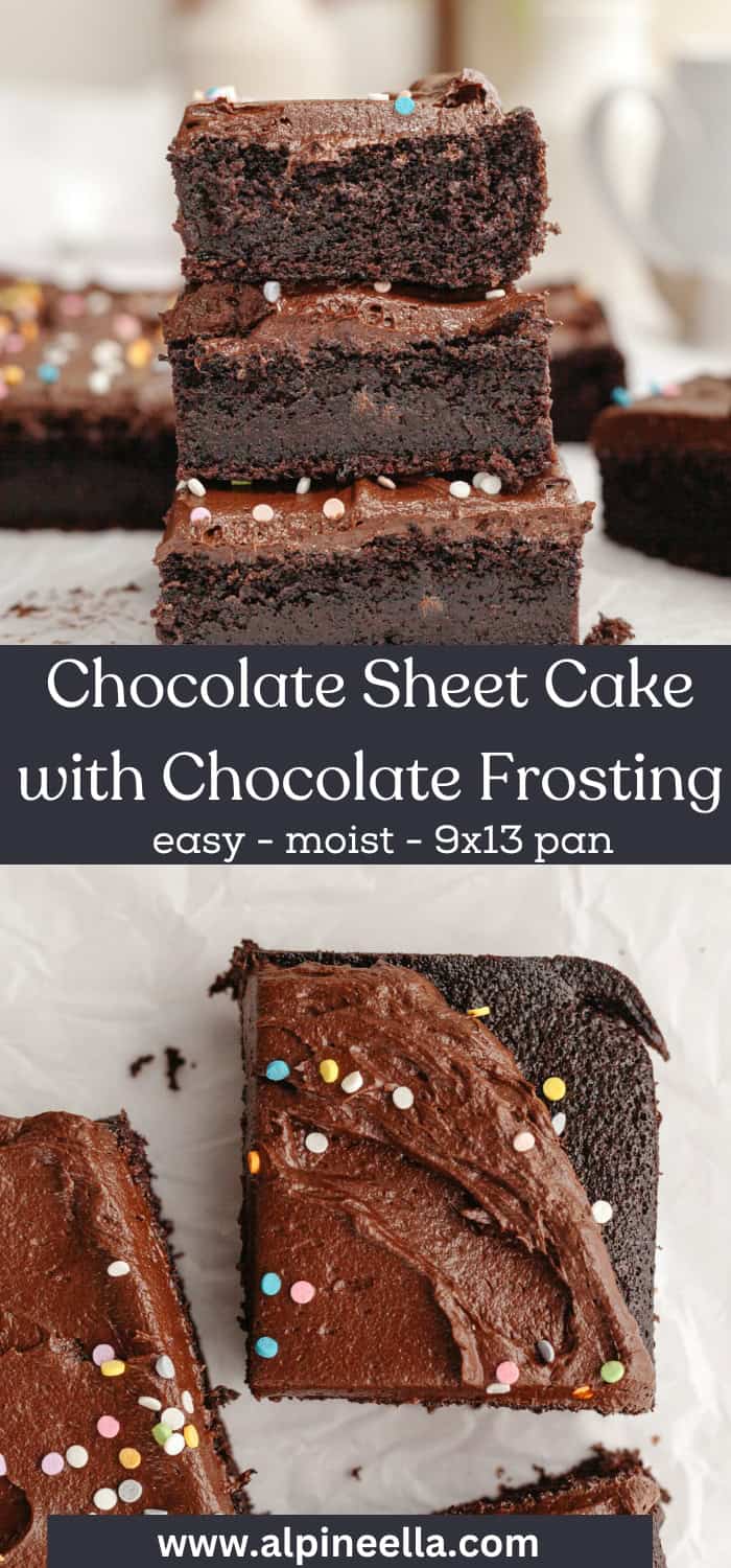 One Layer Chocolate Cake (Sheet Cake) - Alpine Ella
