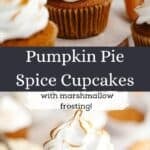 Pumpkin cupcakes with toasted marshmallow frosting and a hand holding a cupcake with a bite taken out of it.