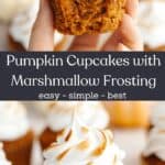 Pumpkin cupcakes with toasted marshmallow frosting and a hand holding a cupcake with a bite taken out of it.
