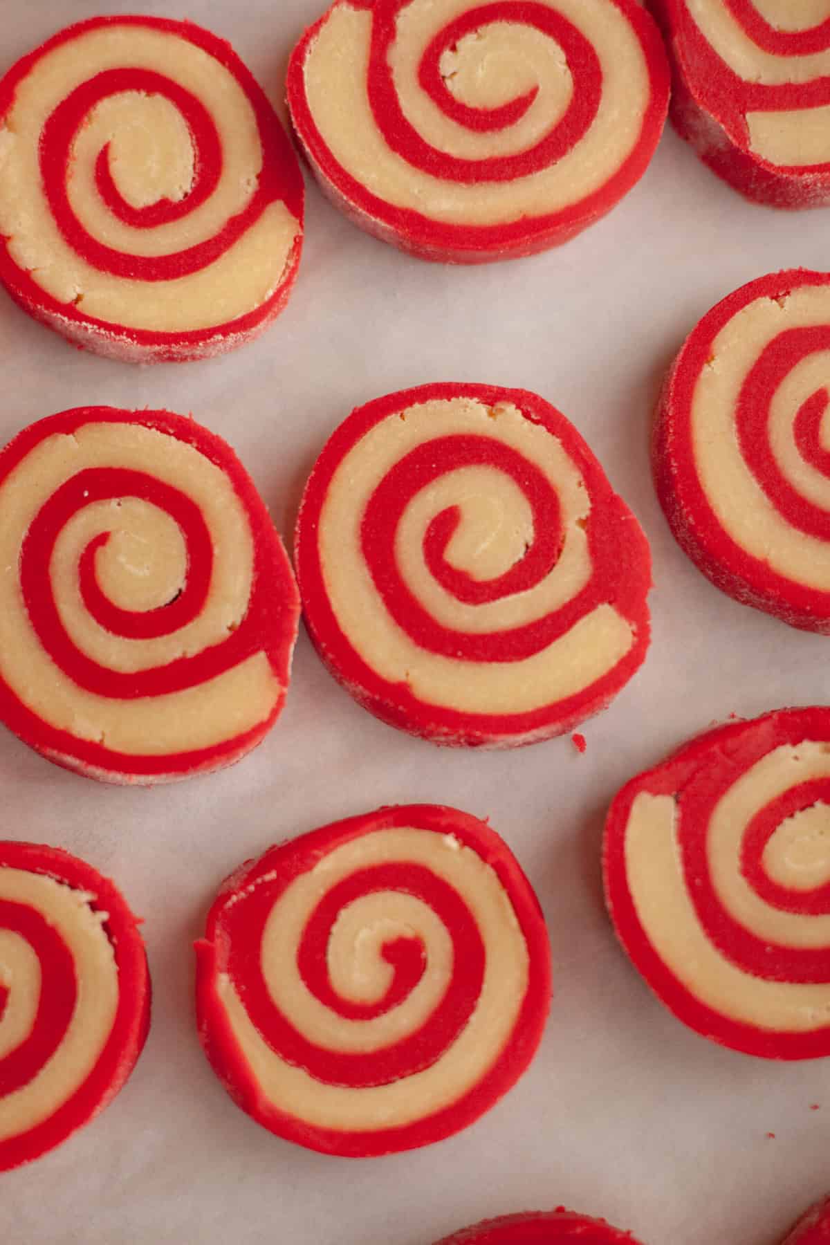 Unbaked pinwheel peppermint shortbread cookies on parchment paper.