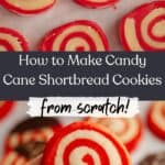 Unbaked pinwheel candy cane cookies and a hand holding a baked candy cane shortbread cookie.