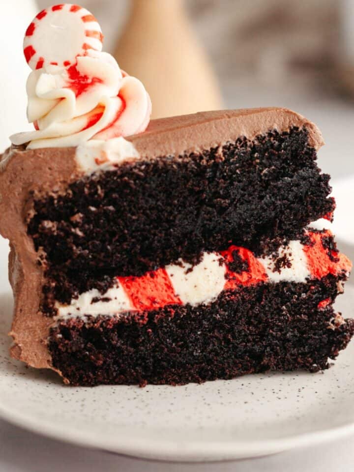 A slice of peppermint mocha cake on a small plate.