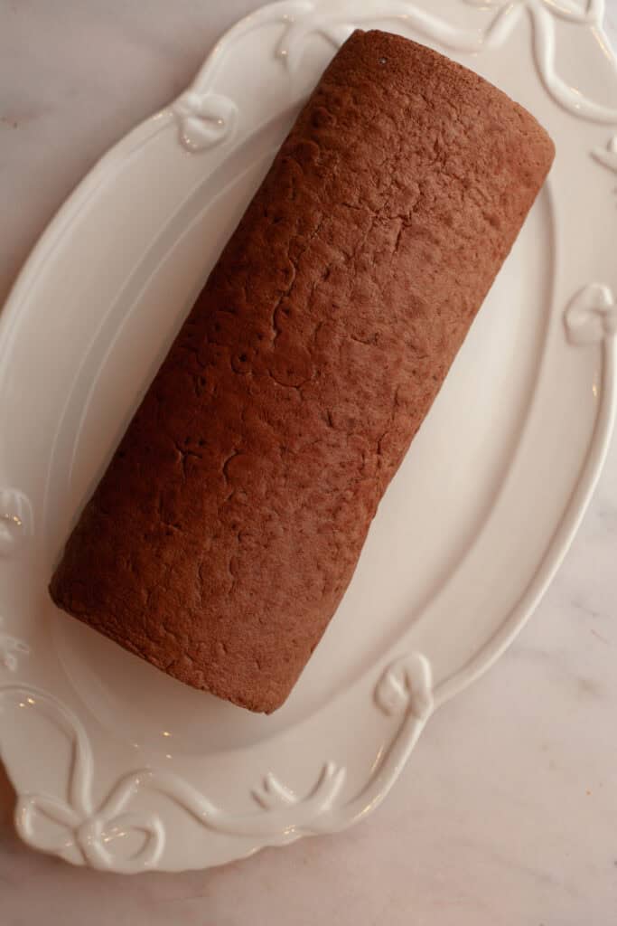 A chocolate swiss roll cake on white platter.