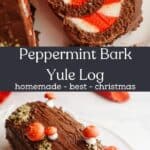 A chocolate yule log decorated with meringue mushrooms, and a slice of the cake showing a red and white striped filling.