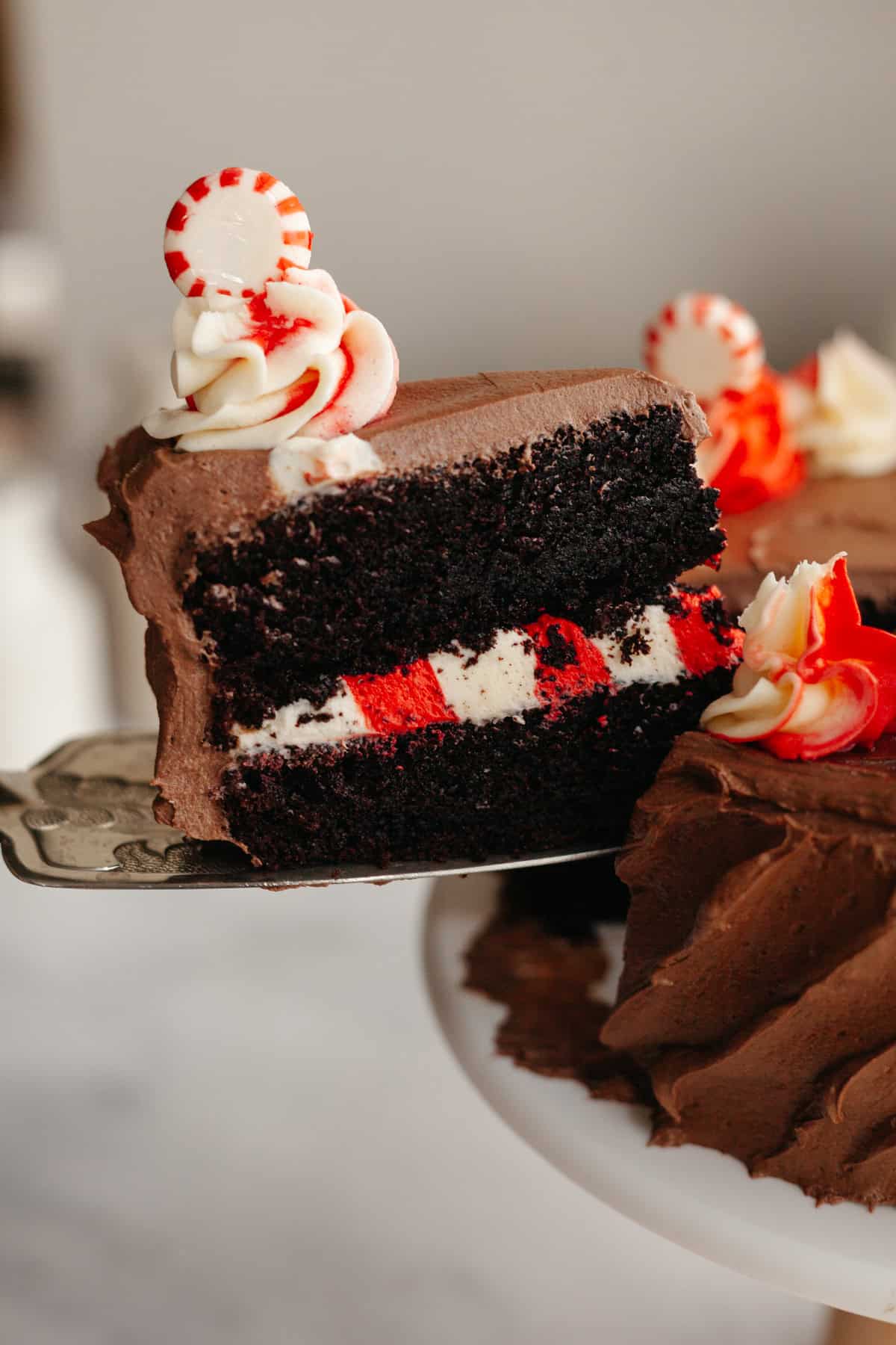 A slice of chocolate peppermint mocha cake, being lifted out with a cake server.
