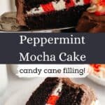 A slice of peppermint mocha cake being lifted out, and a slice of the same cake on a plate with a bite taken out of it.