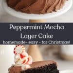 A slice of peppermint mocha cake on a small plate, and the chocolate frosted cake on a cake stand.